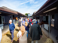 PN170422-160 - Paul Nicholls Stable Visit